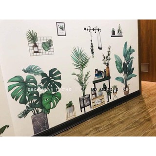 decal dán tường chậu cây xanh