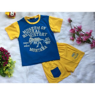 Combo 4 bộ bé trai thun cotton 4c