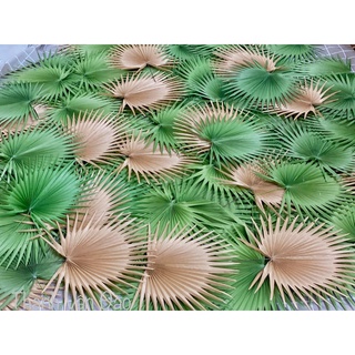 Lá cọ handmade,dùng để trang trí decor, làm oản