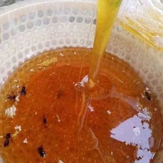 Mật ong hoa cà phê 1lít