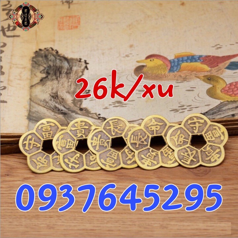 Đồng tiền hoa mai bằng đồng | BigBuy360 - bigbuy360.vn