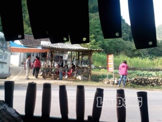 Dao phúc sen Cao Bằng