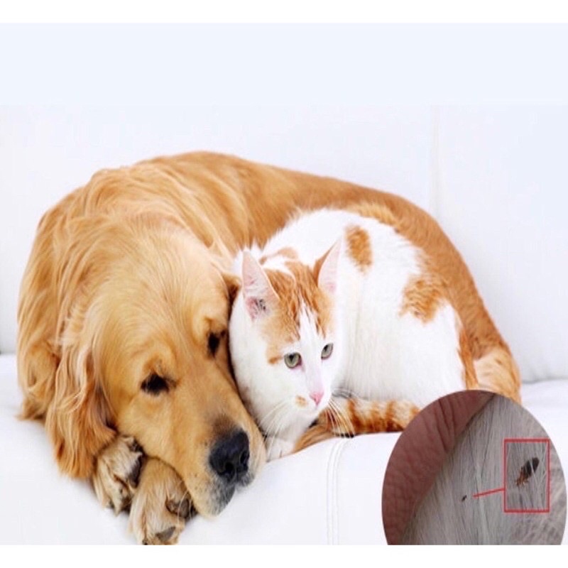 Xịt Bọ Chét Ve Rận Chó Mèo Hantox