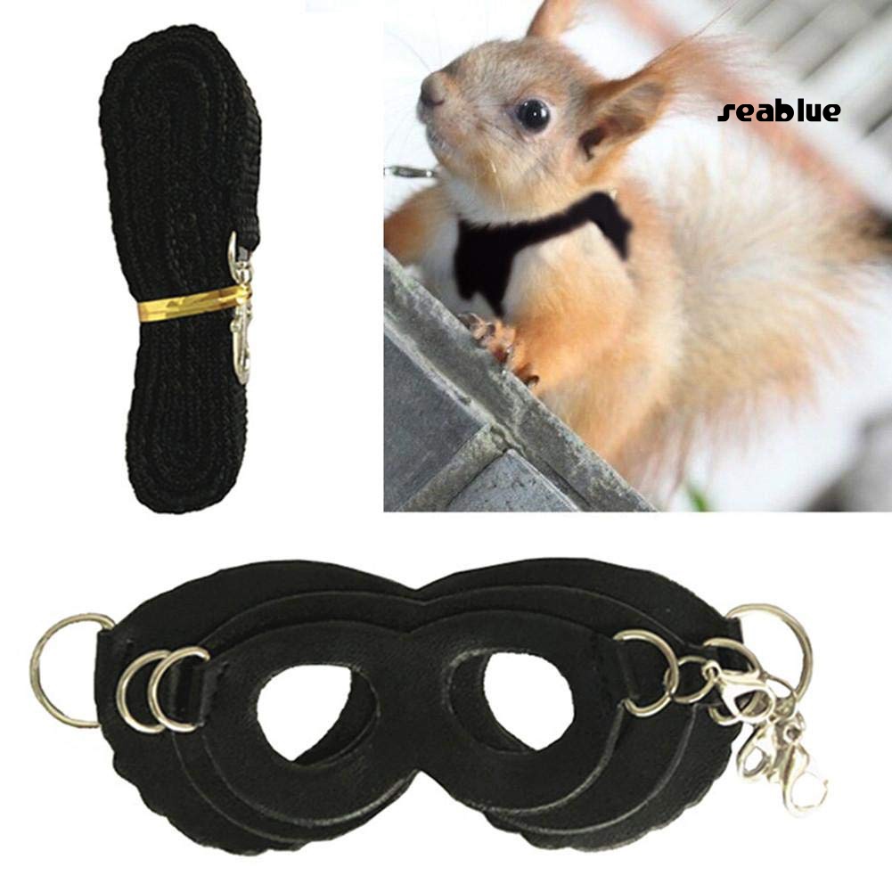 Set 4 Dây Dẫn Thú Cưng Đi Dạo Bằng Nhựa Có Thể Điều Chỉnh