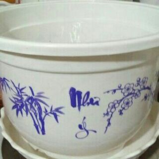 Chậu nhựa Tròn Hình Trúc,Hoa mai như ý đường kính Cao 25Cm,Rộng 35Cm
