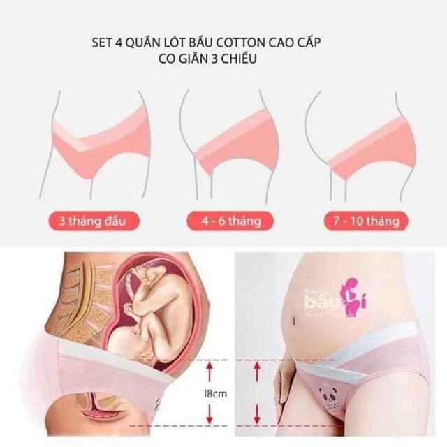 Quần lót bầu 20020, sét lót bầu100% cotton cao cấp chính hãng Enjoy spring thiết kế thông minh cạp chéo