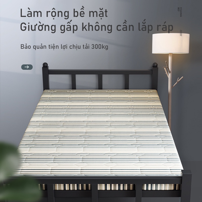 Giường đơn dùng ở nhà nghỉ trưa tại văn phòng làm việc giường 1m2 đơn giản gỗ cứng dùng được tại nhà trọ FU611