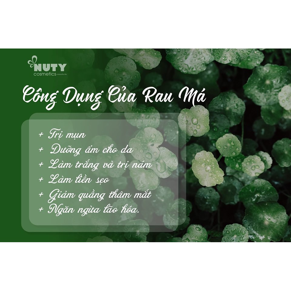 Tinh Chất Rau Má Giảm Mụn, Dịu Da Skin1004 Madagascar Centella Asiatica 100 Ampoule 100ml | BigBuy360 - bigbuy360.vn