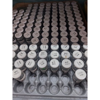 LENS ĐỘ TRONG SUỐT (Hàn)