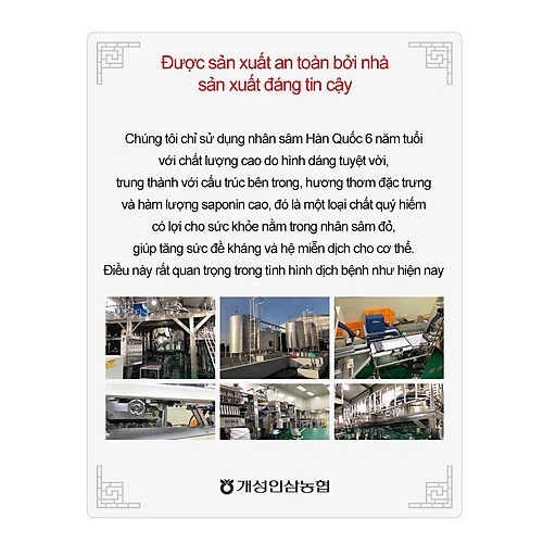 Nước Hồng Sâm 6 Năm Tuổi Korea Original