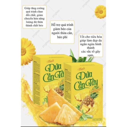 THẠCH DỨA CẦN TÂY (hộp 10 gói)