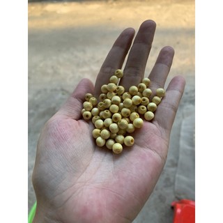 Combo cho sỉ