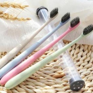 Bàn chải lúa mạch giao màu ngẫu nhiên