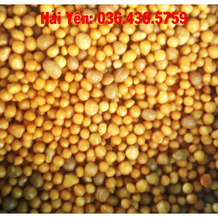 Phân vàng Osmocote 14-14-14 tan chậm. (bịch 500g)
