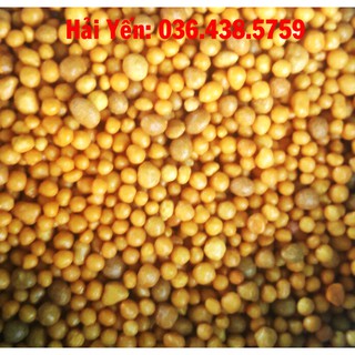 Phân vàng Osmocote 14-14-14 tan chậm. (bịch 500g)
