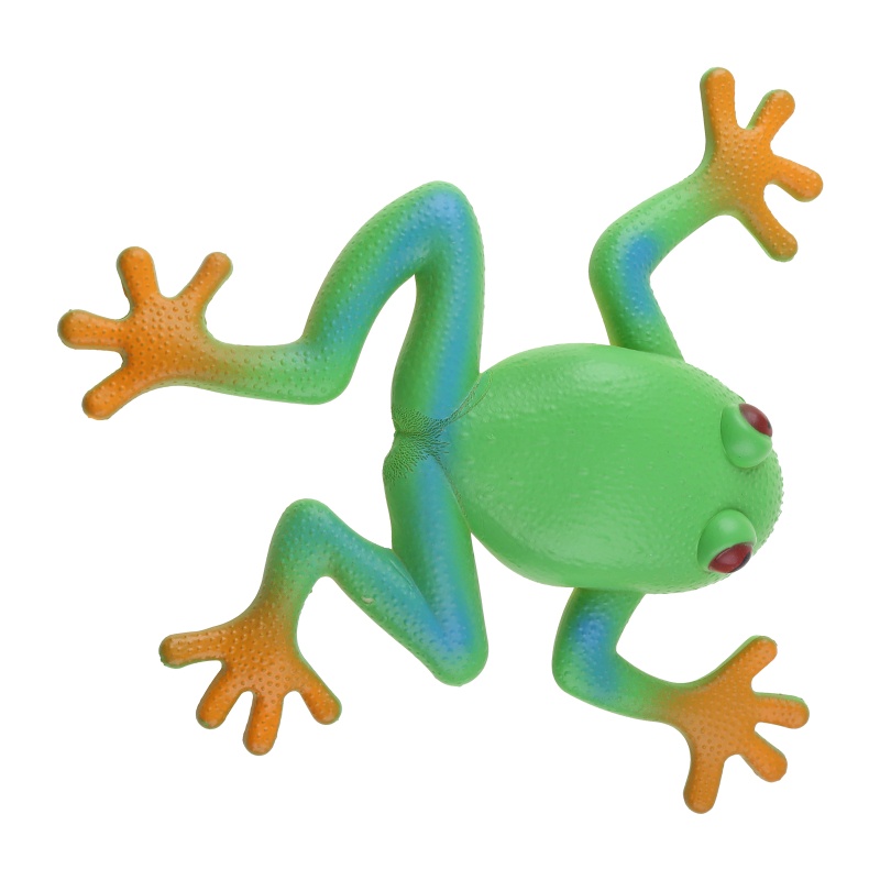 Phụ Kiện Bắt Côn Trùng Bằng TPR Chất Lượng Cao Dành Cho Bé