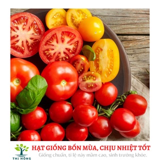 Hạt giống cà chua bi quả đỏ (quả đỏ mọng, ăn ngon, ngọt).