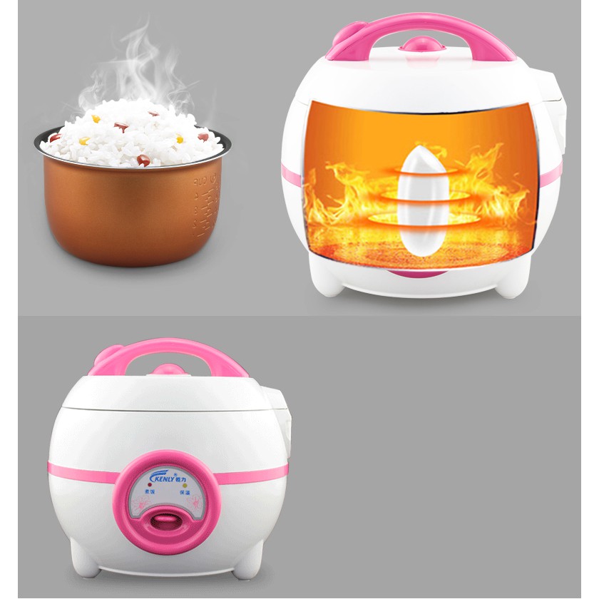 Nồi cơm điện mini