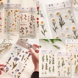 Sticker hoa lá cỏ thực vật tự nhiên