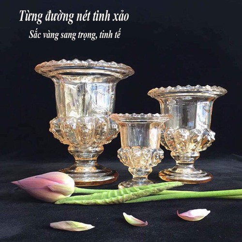 Ly thủy tinh cắm phật thủ ánh vàng, Ly thủy tinh cắm hoa ánh vàng.