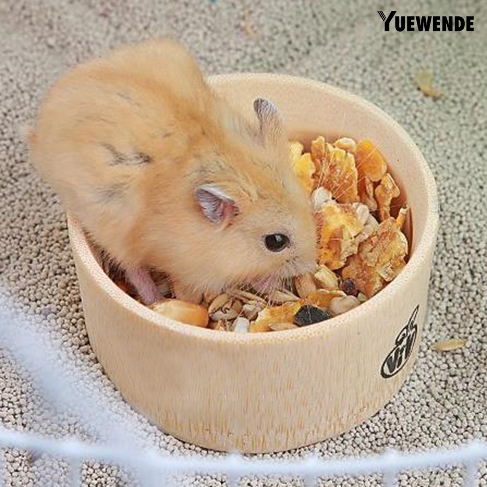 Tô Đựng Thức Ăn Nước Uống Treo Lồng Nuôi Chuột Hamster / Thỏ / Sóc