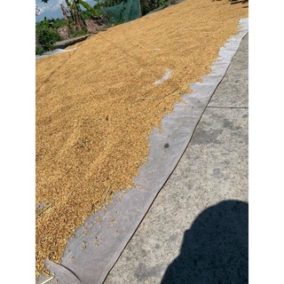 Lưới phơi thóc, nông sản
