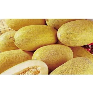 [HOT] Hạt Giống Dưa Lưới Vàng