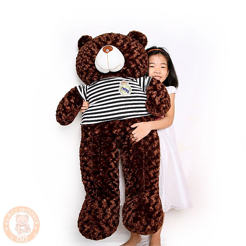 (Free ship toàn quốc ) Gấu Bông Teddy Khổ vải 1m4 cao 1m2 Hàng cao cấp