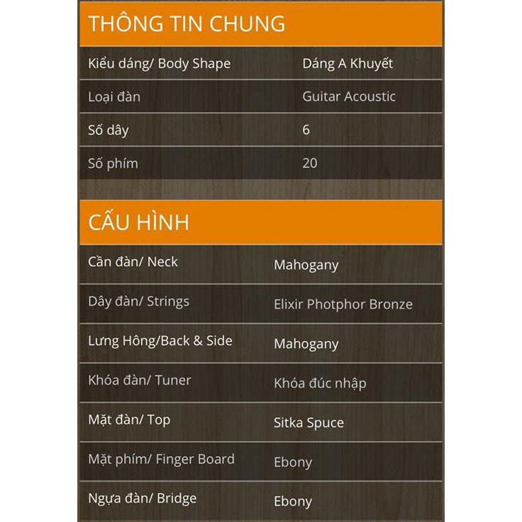 |Trợ Ship 70k| Guitar Trần Acoustic TM-45C