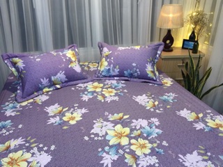 COTTON HÀN QUỐC - COTTON ALNENA