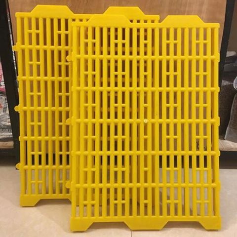 Tấm Lót Sàn Vàng Nhựa Vệ Sinh Cho Chó Mèo Thú Cưng 40x55cm (Bao Trả Nếu Sàn Kém Chất Lượng, Yếu, Mỏng)