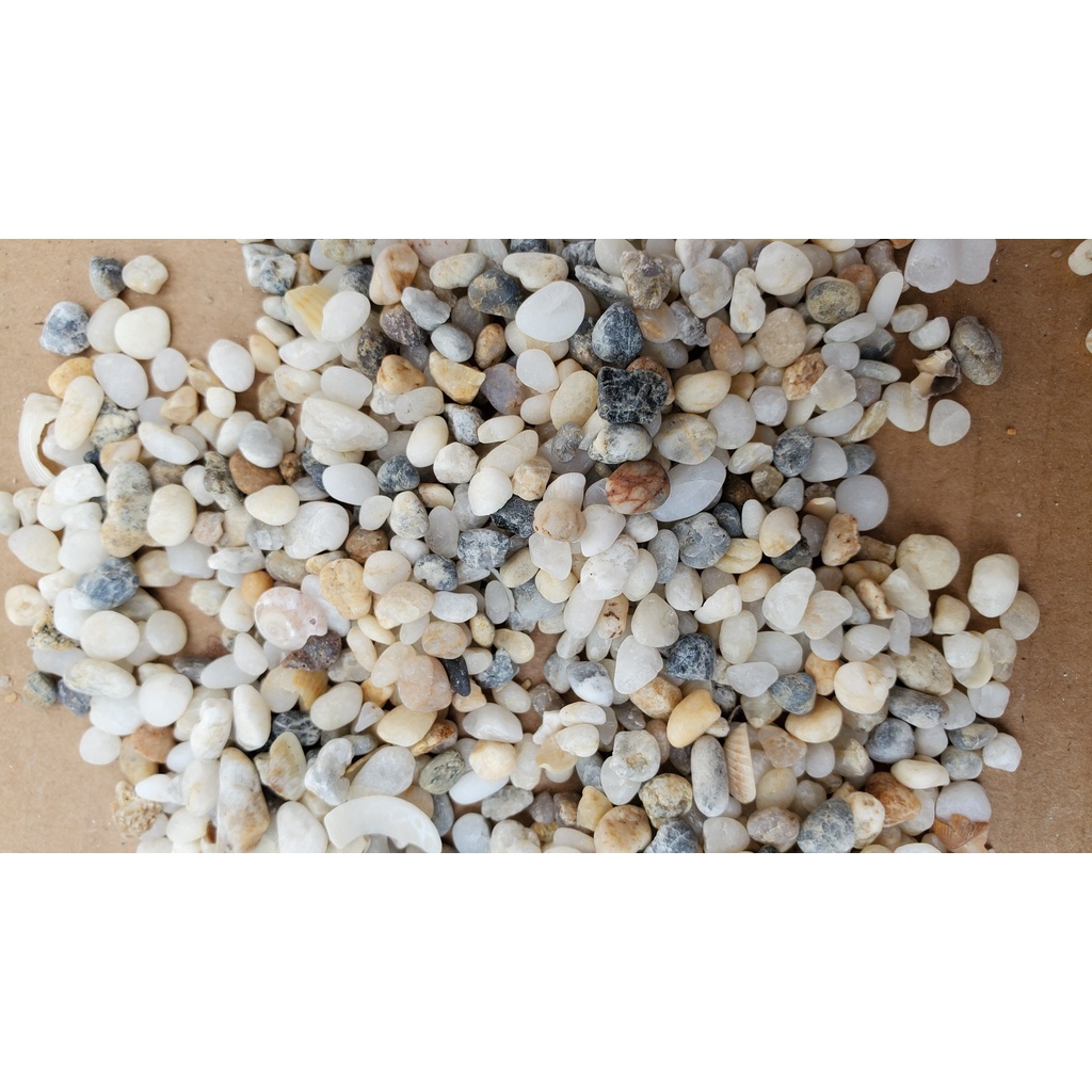 100g sạn suối trang trí, trải nền bể thủy sinh cá cảnh