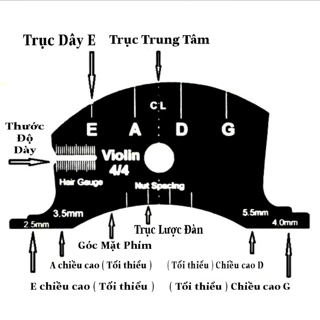 Sửa Chữa Ngựa Đàn Violin 4/4