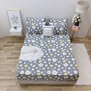 9.ga gối lẻ cotton lụa