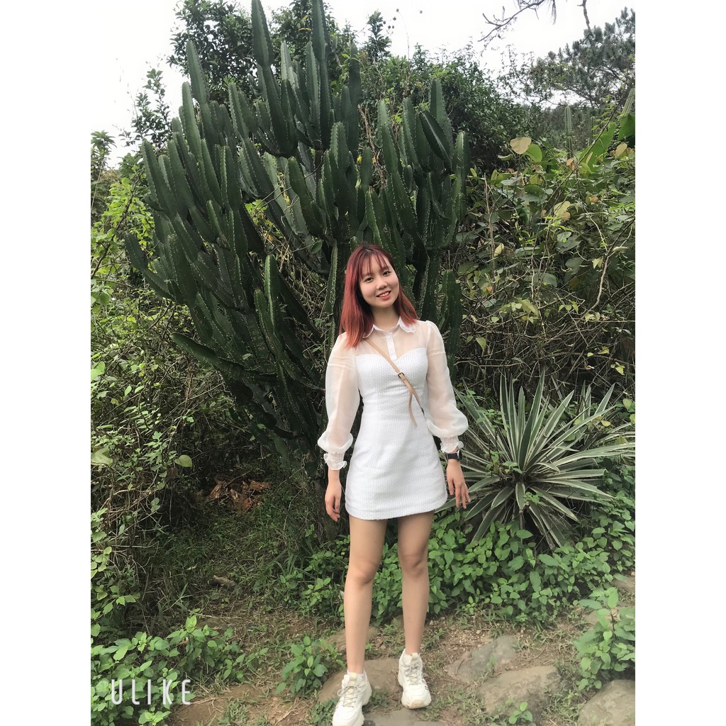 Pass váy tingoan Boie dress