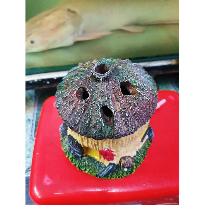 OXY LỌC HỒ CÁ XINYOU 380 GIẤUTRONG NHÀ RẤT ĐẸP 12X12CM