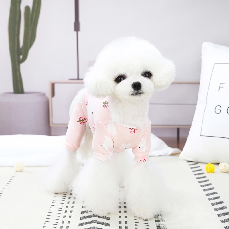 Bộ body 4 chân xinh lung linh cho cún miu 🥺