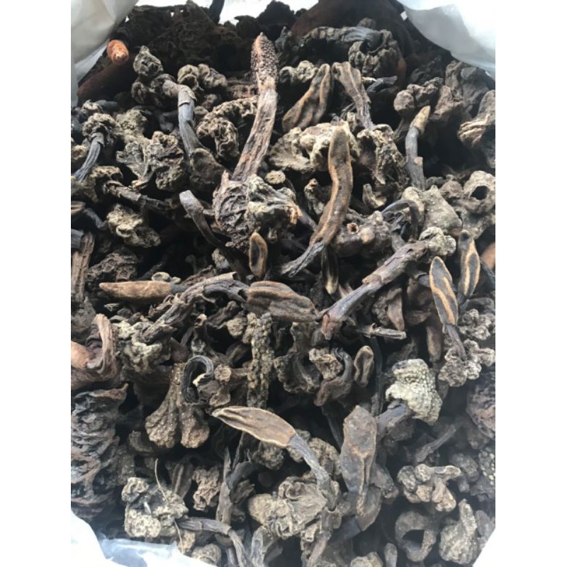 Nấm Ngọc Cẩu Tây Bắc | BigBuy360 - bigbuy360.vn