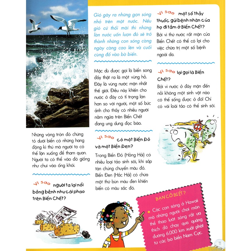 Sách Vì Sao? Như Thế Nào? Biển (Tái Bản)