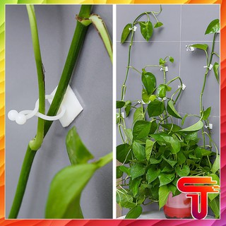 Set 10 Móc Treo Dán Tường Hỗ Trợ Cây Leo/ Định hình Thân Cây Cảnh