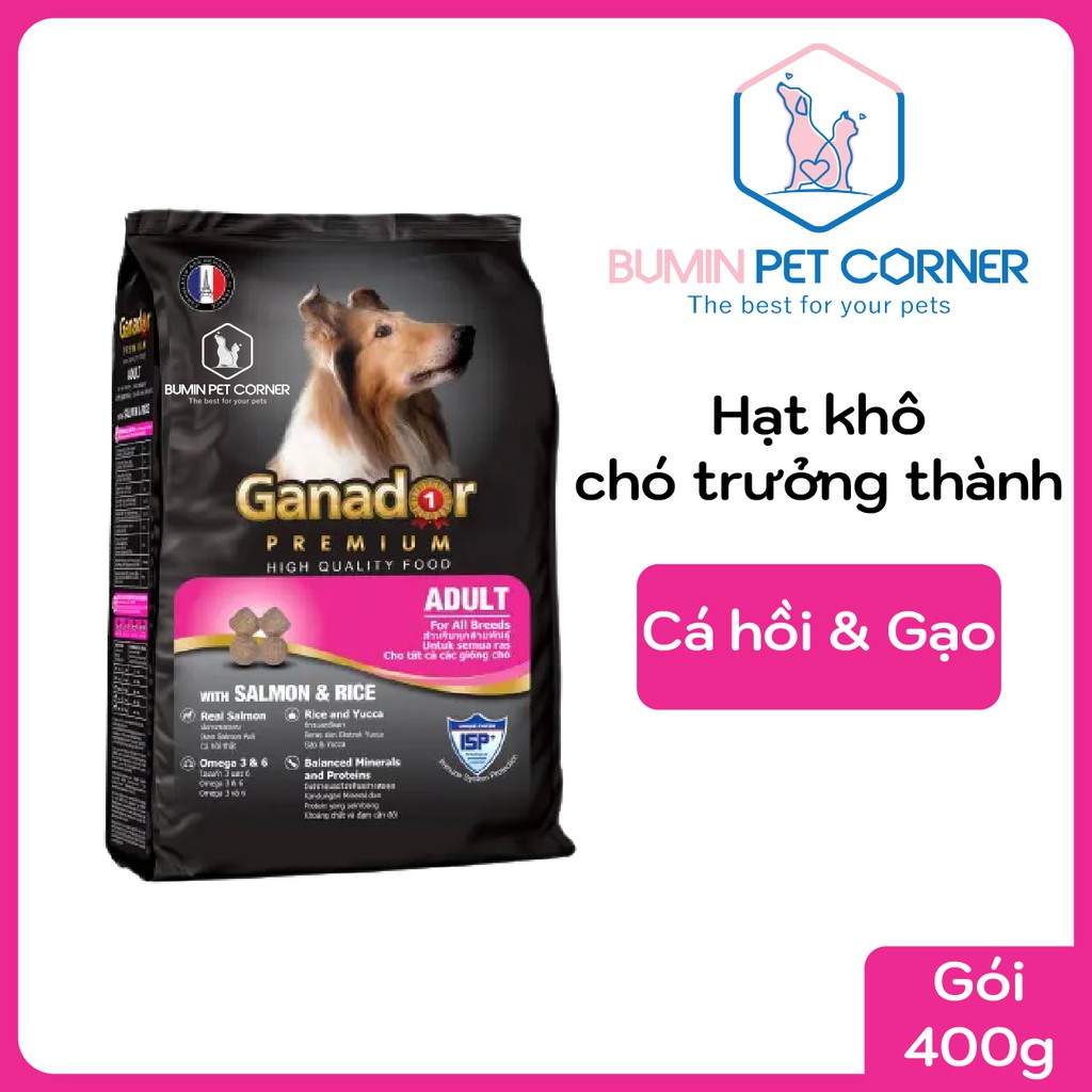 Ganador Adult Salmon &amp; Rice 400g - Thức ăn hạt khô cho chó trưởng thành Ganador vị Cá hồi &amp; Gạo gói 400g