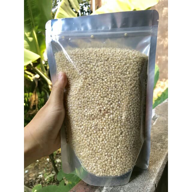 500gr HẠT Ý DĨ NẾP / HẠT BO BO NẾP - hạt sạch to mẩy nấu cháo làm ngũ cốc