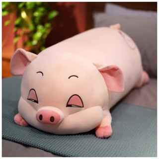 Gấu bông heo hồng