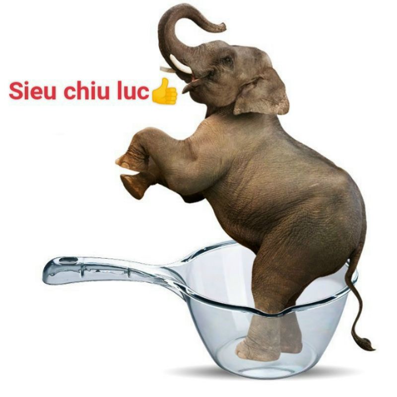 SET 2 gáo múc nước trong suốt tiện lợi, ca múc nước
