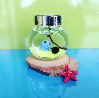 Set Tiny Tảo Cầu Nhật Bản - Marimo