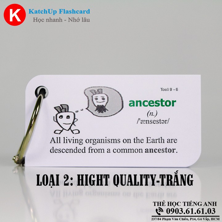 Flashcard Tiếng Anh TOEIC  – 3 loại giấy
