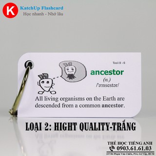 Flashcard Tiếng Anh TOEIC (600 từ) – 3 loại giấy