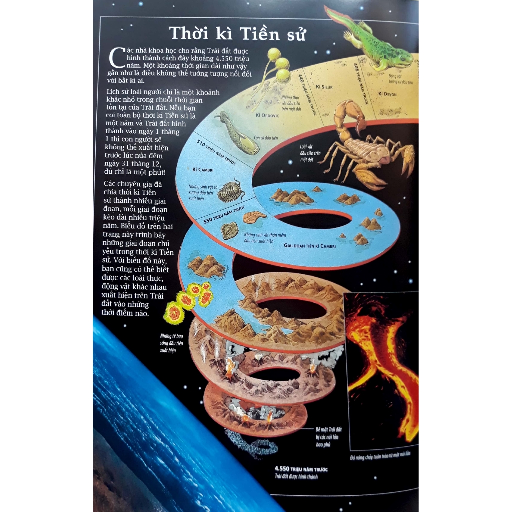 Sách - Bách Khoa Lịch Sử Thế Giới (Tái Bản 2018) | BigBuy360 - bigbuy360.vn