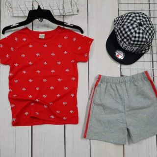 Combo binh le