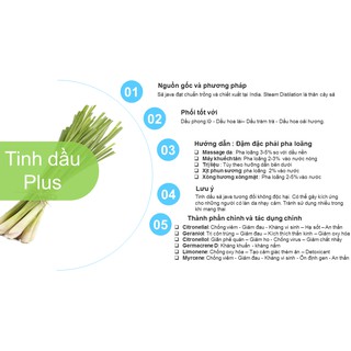 Tinh dầu sả Java Plus 20ml - Citronella Java EO nguyên chất thiên nhiên Ấn độ - Diệt muỗi, sạch da